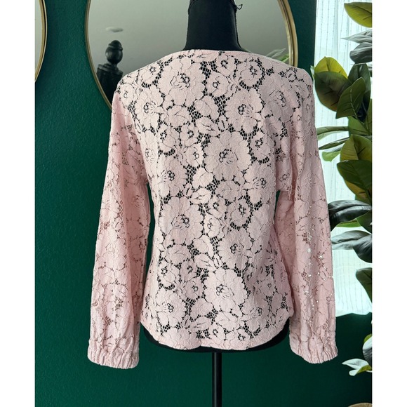 Banana Republic Sheer Lace Blouse Size M Blush Pink Romantic Victorian Feminine - Picture 4 of 8